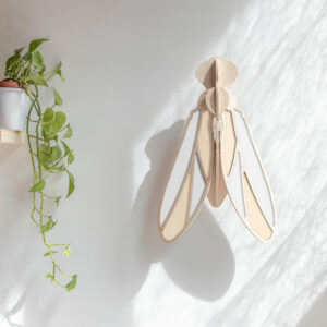 Mosca - immagine 4