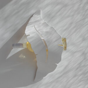 Linfa - immagine 2